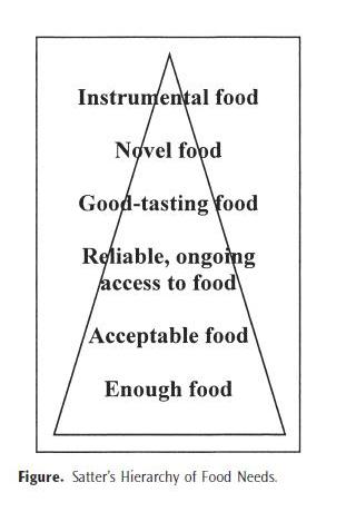 Hierarchy of food needs, in order: enough food, acceptable food, reliable ongoing access to food, good-tasting food, novel food, and instrumental food.